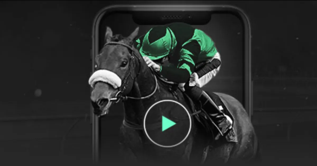 山东跳水队,新春备战十,五运,世界杯买球,2026世界杯,投注技巧,最佳平台,赛事分析